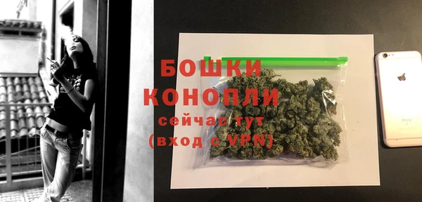 шишки Армянск