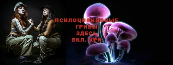 PSILOCYBIN Аркадак