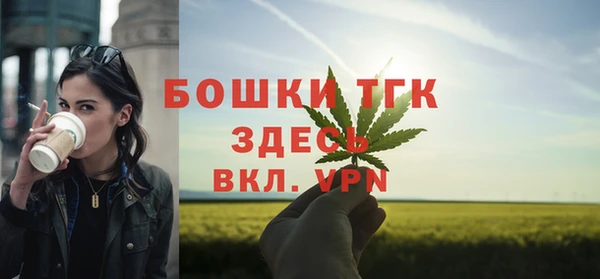 дурь Арсеньев