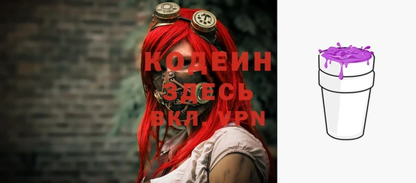 дурь Арсеньев