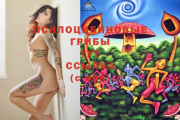 шишки Армянск