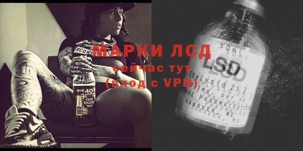 PSILOCYBIN Аркадак