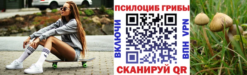 магазин продажи   Сосенский  Галлюциногенные грибы Psilocybe 